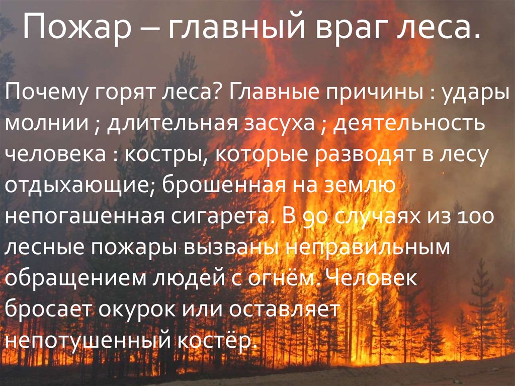 Почему горящий. Почему горят леса. Почему горит лес. Пожар главный враг леса. Причины горящих лесов.