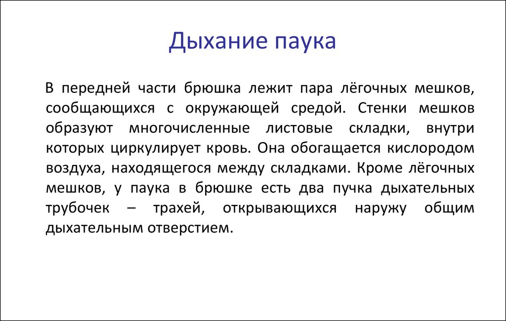 Паукообразные дыхательная. Дыхание паука. Чем дышат пауки. Паукообразные дышат. Тип дыхания паукообразных.