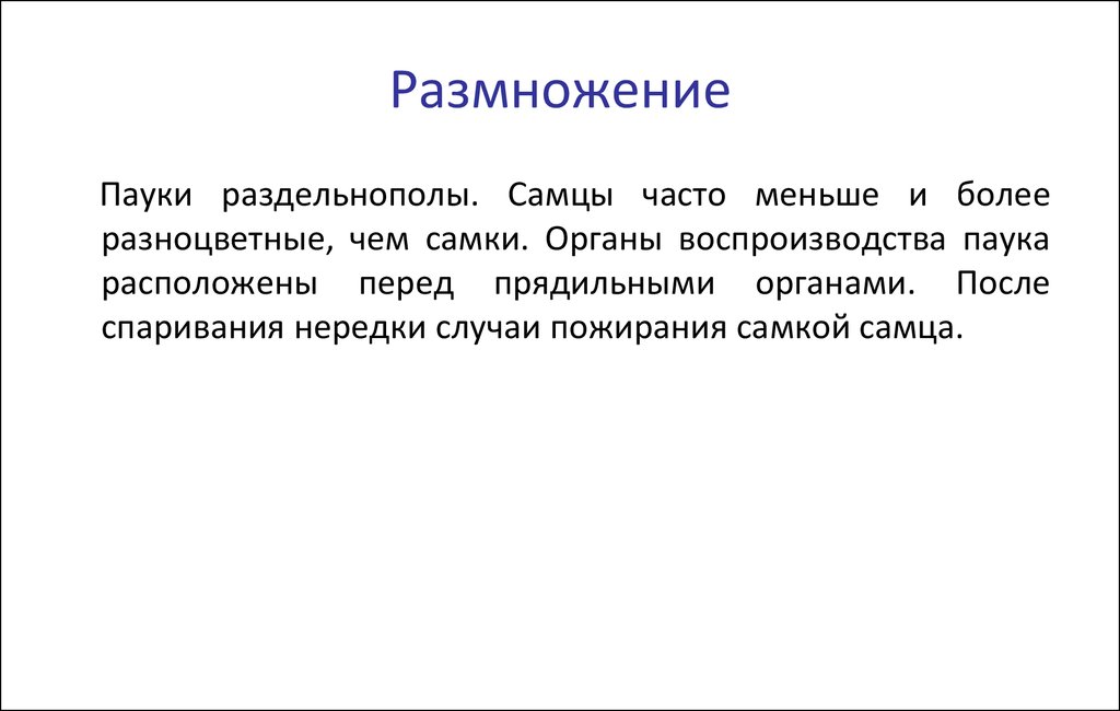 Размножение паукообразных. Органы размножения пауков. Органы размножения паука.