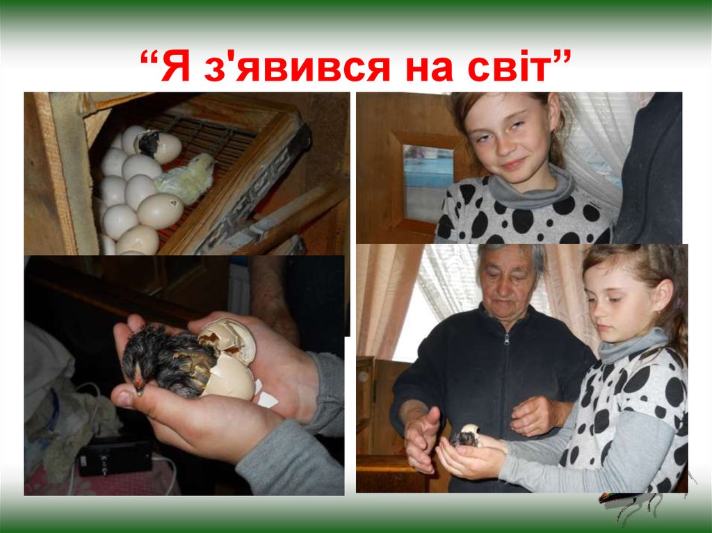 “Я з'явився на світ”