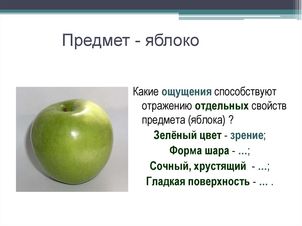 Признак предмета цвет. Признаки яблока. Форма яблока. Характеристика предметов яблоко. Какой формы яблоко.
