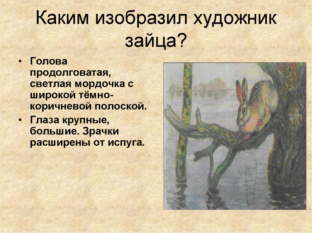 Изобразил н. Картина наводнение Комарова сочинение 5 класс по плану. Картина а.н.Комарова наводнение описание зайца. Описать зайца по картине Комарова наводнение. Описание зайца на картине Комарова наводнение 5 класс.