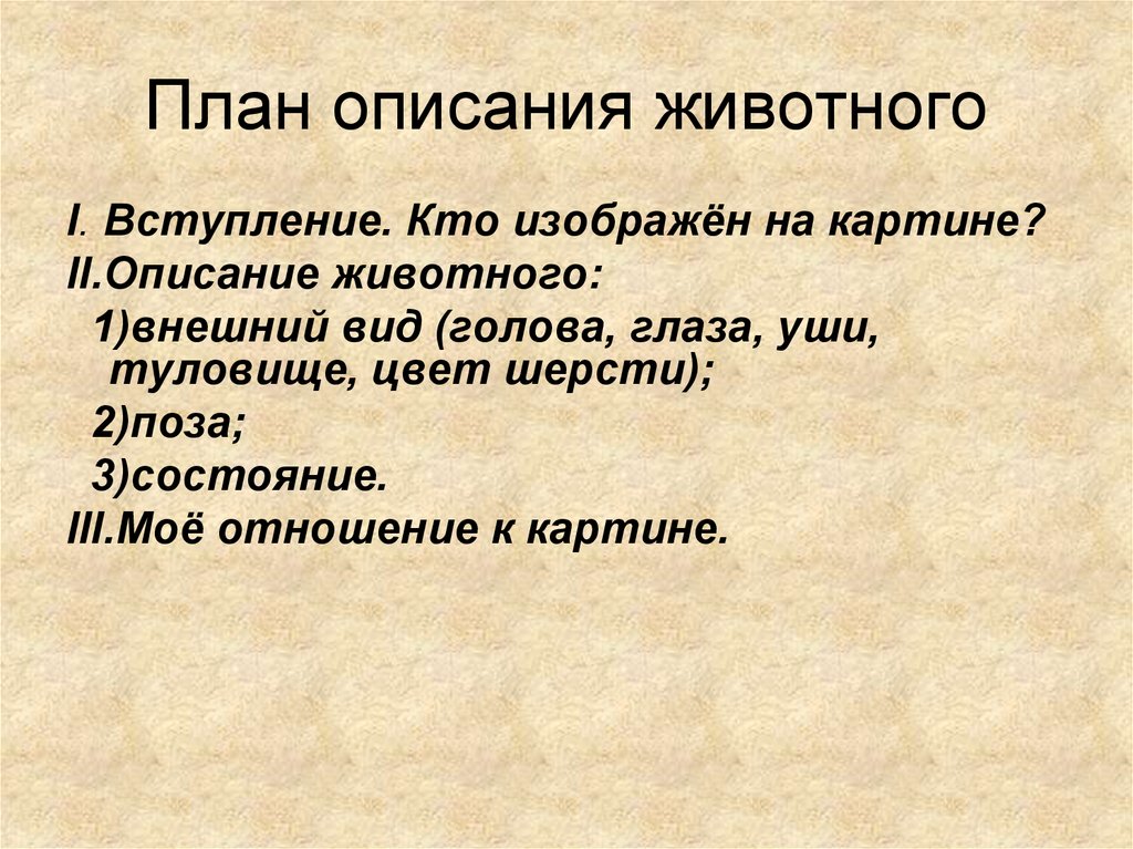 Описание животного по плану