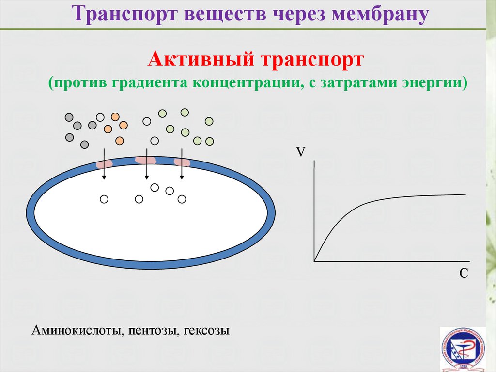 Транспорт против градиента концентрации. Транспорт веществ против градиента концентрации. Проникновение веществ в клетку против градиента концентрации. Транспорт против градиента.