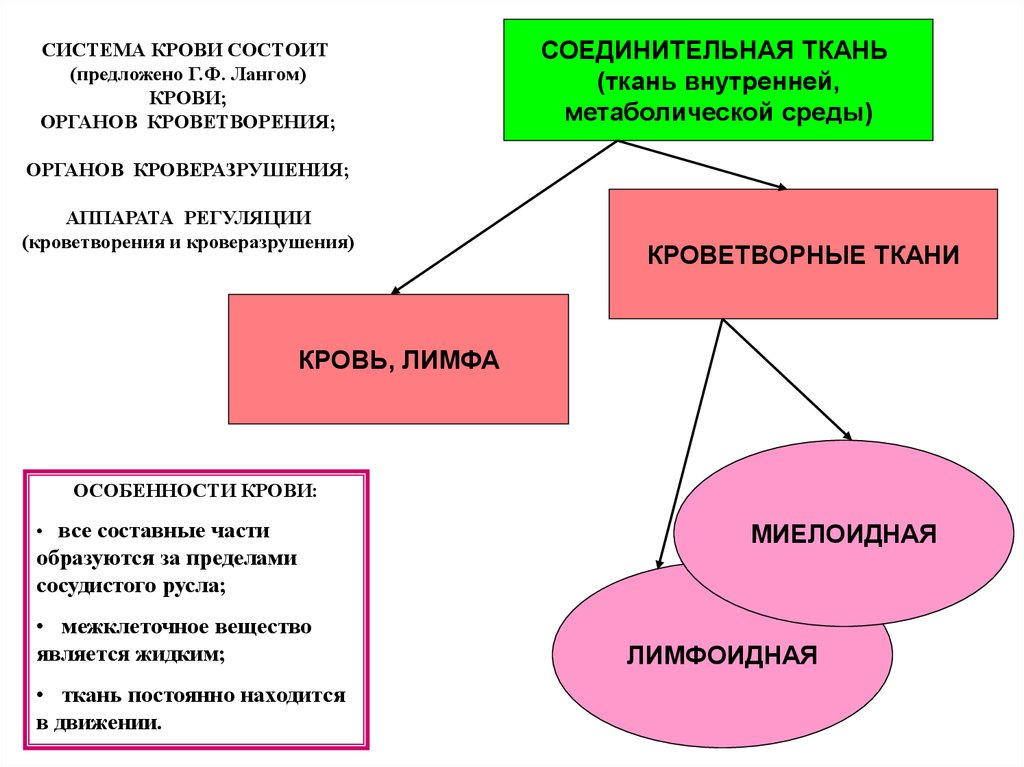 Ткани внутренней среды