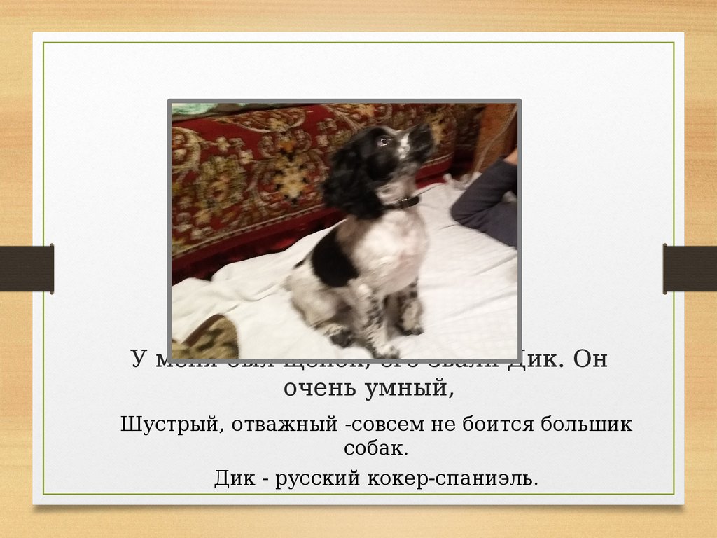 У саши живет щенок его зовут. Презентация мой питомец. Покажи собаку очень умный и умная.