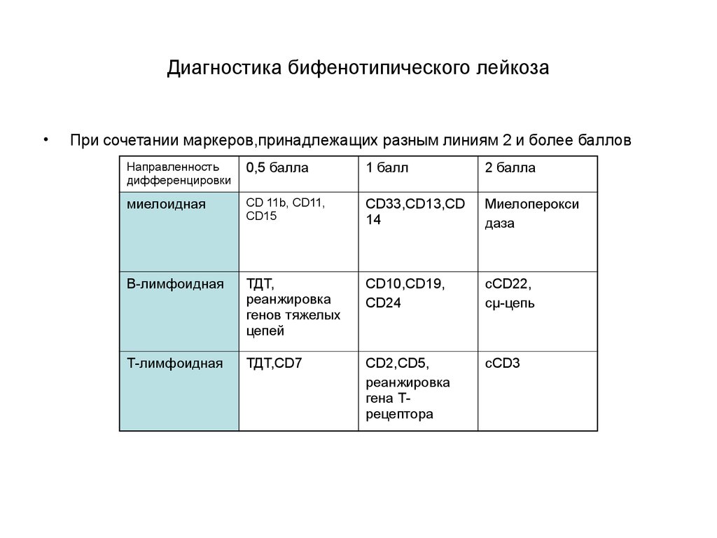 План обследования при лейкозе