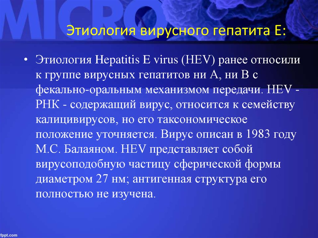 Гепатит е передача. Вирусный гепатит е этиология. Этирлогия вирусногогепатита е. Вирус гепатита е этиология. Вирус гепатита е эпидемиология.