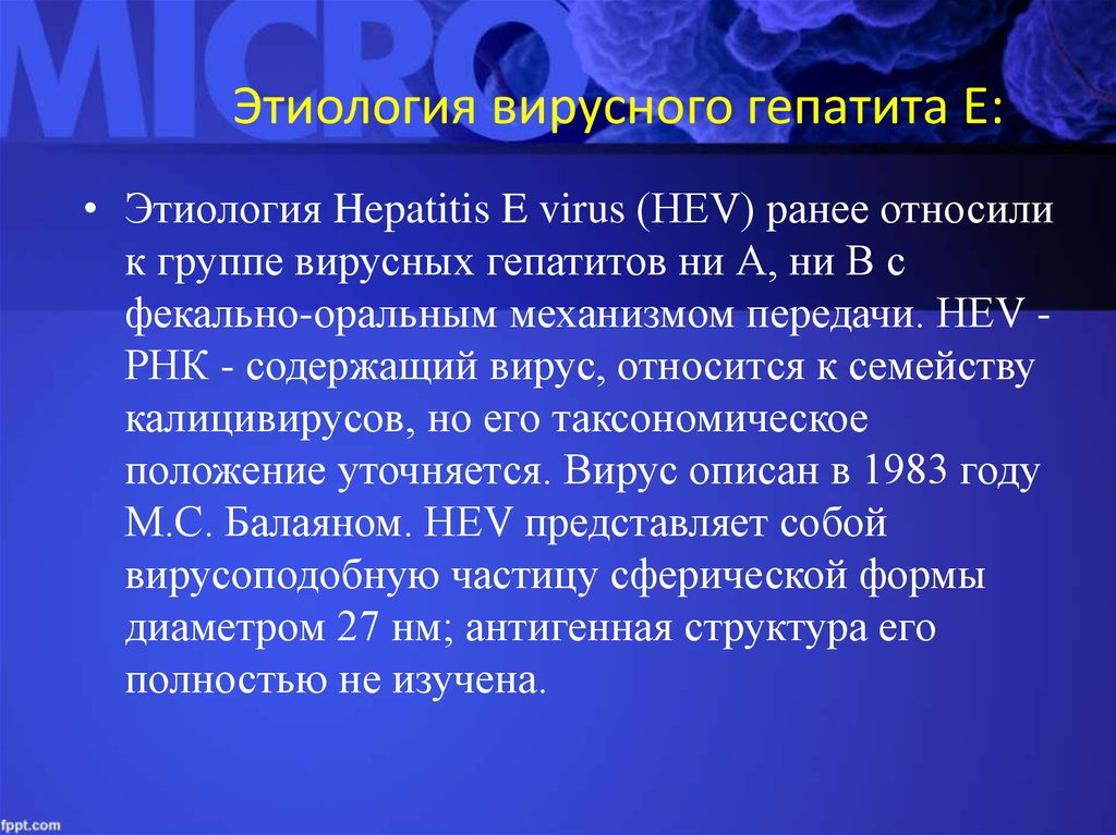 Отличительная особенность преджелтушного периода гепатита е