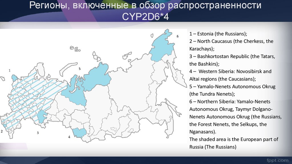 Региональная россия отзывы. Nenets Autonomous Okrug on the Map.