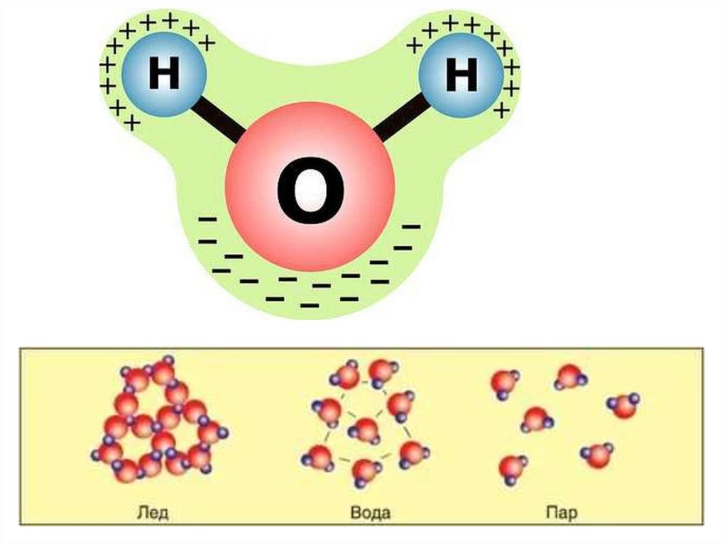 Строение молекулы рисунок. Строение молекулы воды. Структура молекулы воды. Молекулярное строение воды. Схематическое изображение молекулы воды.
