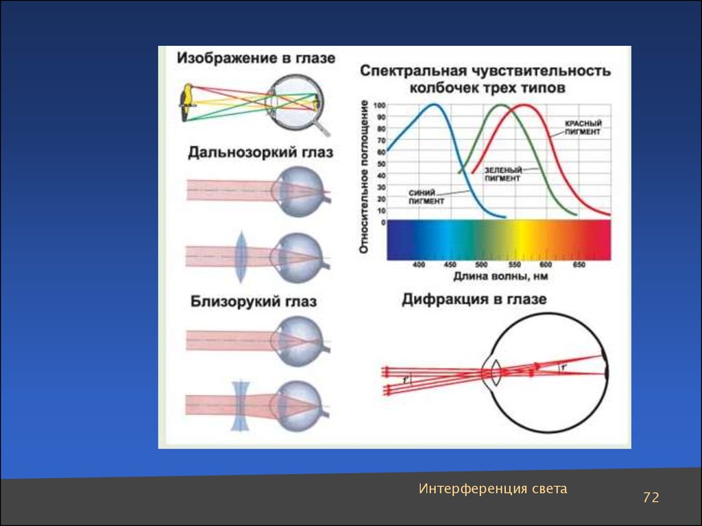 Оптическое изображение физика