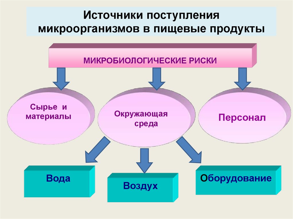 Микробиология продуктов питания презентация