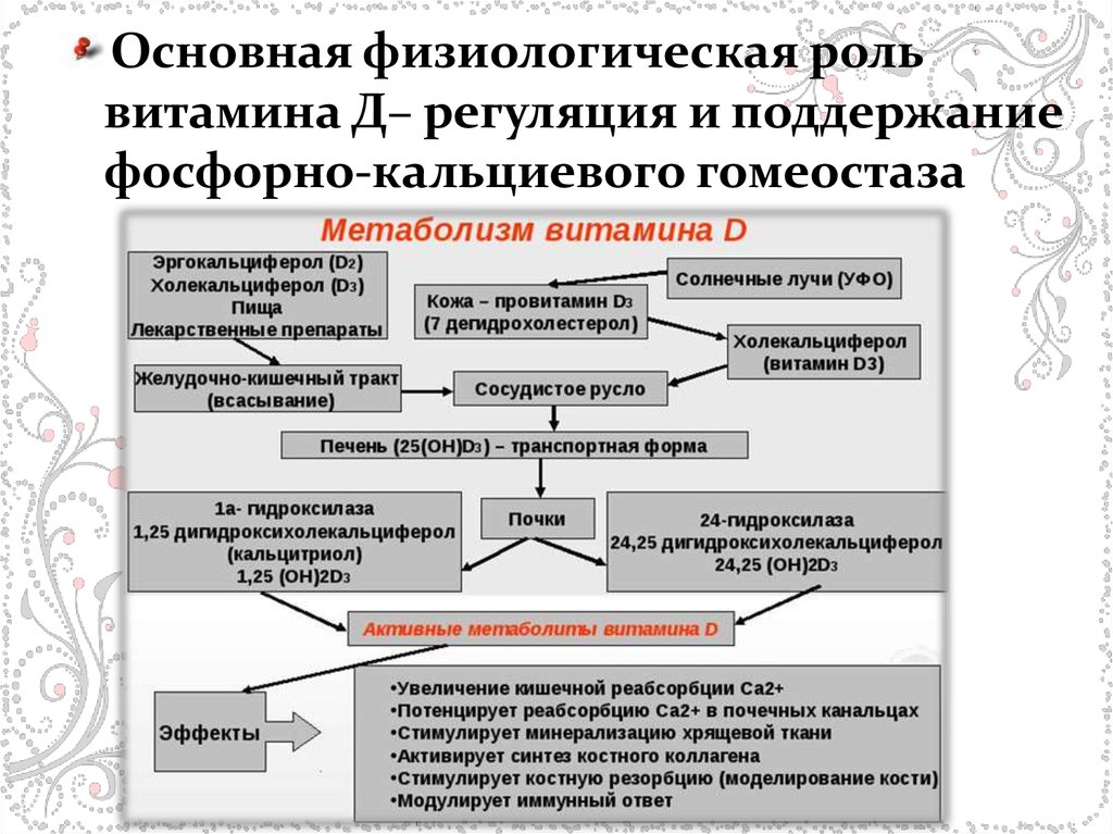 Механизм развития рахита схема