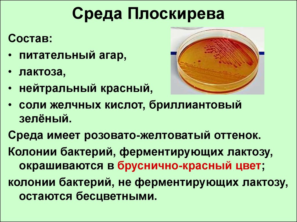 Какой состав имеет. Питательная среда Плоскирева. Среда Эндо и Плоскирева. Среда Плоскирева микробиология. Среда Плоскирева микробиология состав.