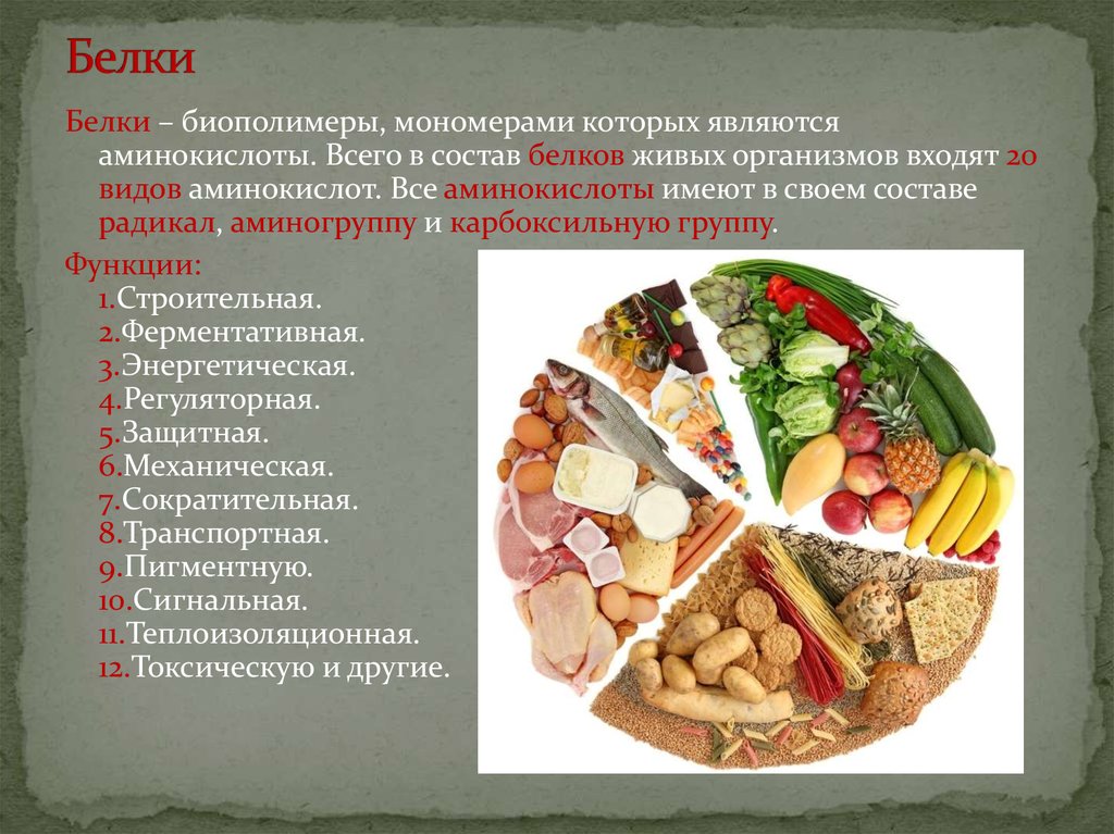 Белки биополимеры. Белки биополимеры мономерами которых являются. Белки это биополимеры мономерами которого являются аминокислоты. Мономерами белков являются аминокислоты. Биополимеры белки и их функции.