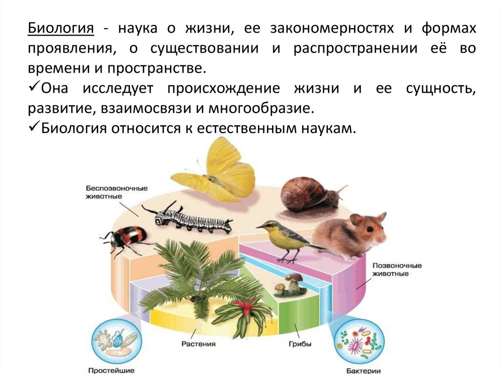 Термины наук биология. Термины по биологии. Биология наука о жизни. Понятие биология.