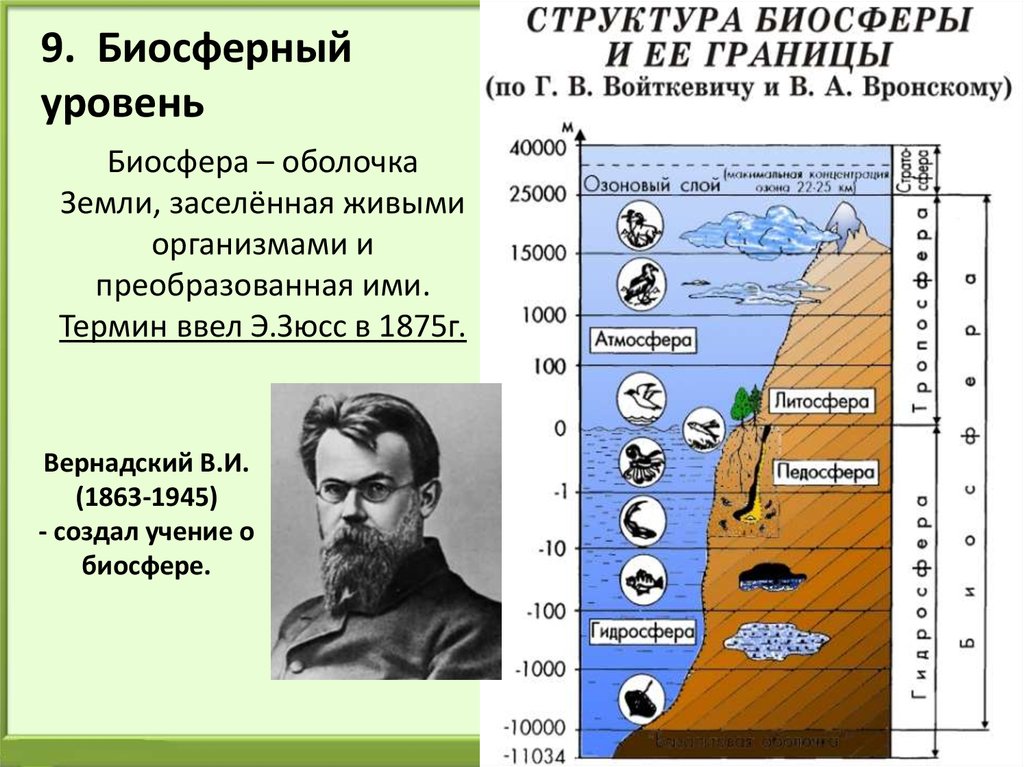 Экосистемный уровень 9 класс 2 вариант