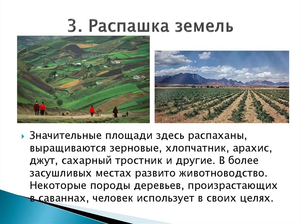 Продольная распашка земель на склонах