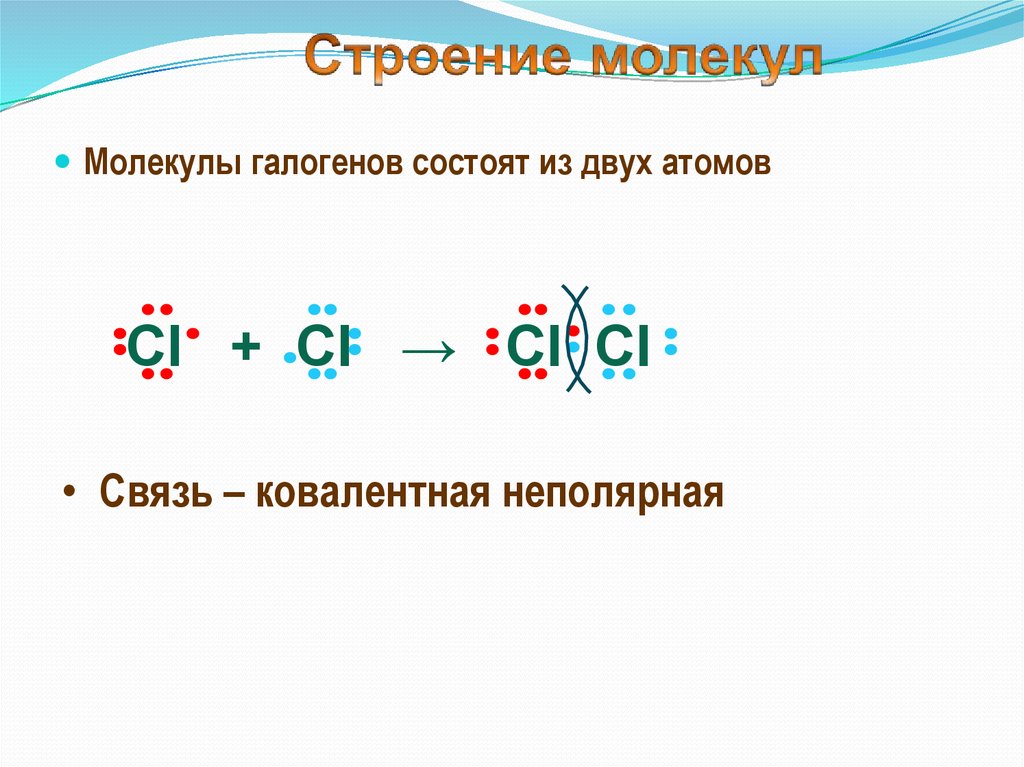 Связь галогенов. Строение молекул галогенов. Строение галогенов. Галогены простые вещества строение молекул. В молекулах галогенов одинарная ковалентная связь.