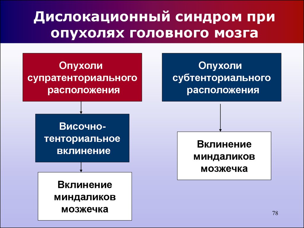 Синдром новообразования презентация