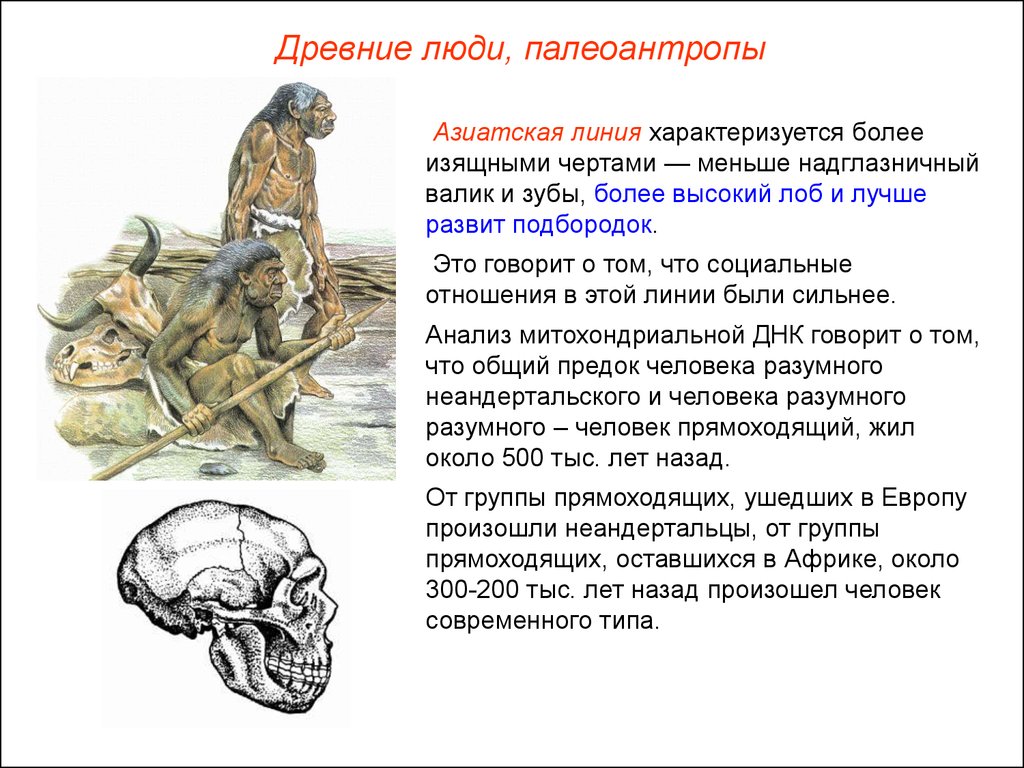 К людям современного типа относят. Палеоантропы (древние люди, homo Neandertalensis). Социальные черты древнейших людей. Социальные черты древних людей. Появление человека разумного.
