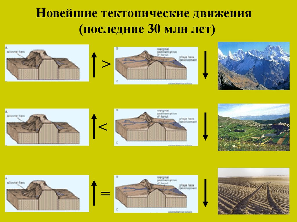 Тектонические движения. Виды тектонических движений. Новейшие тектонические движения. Тектонические системы в архитектуре.