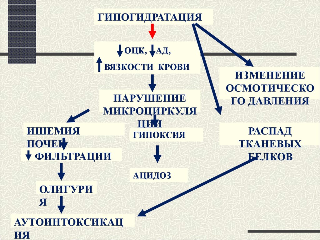 Гипогидратация это