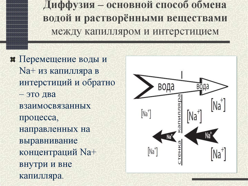 Метод обмена. Обмен жидкости между капиллярами. Обмен жидкости между капилляром и интерстицием. Схема обмена жидкостью между капилляром и интерстицием. Способы обмена.