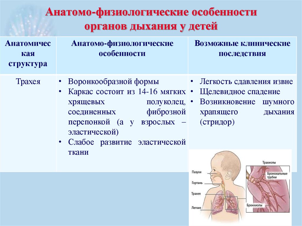 Анатомо физиологических процессов