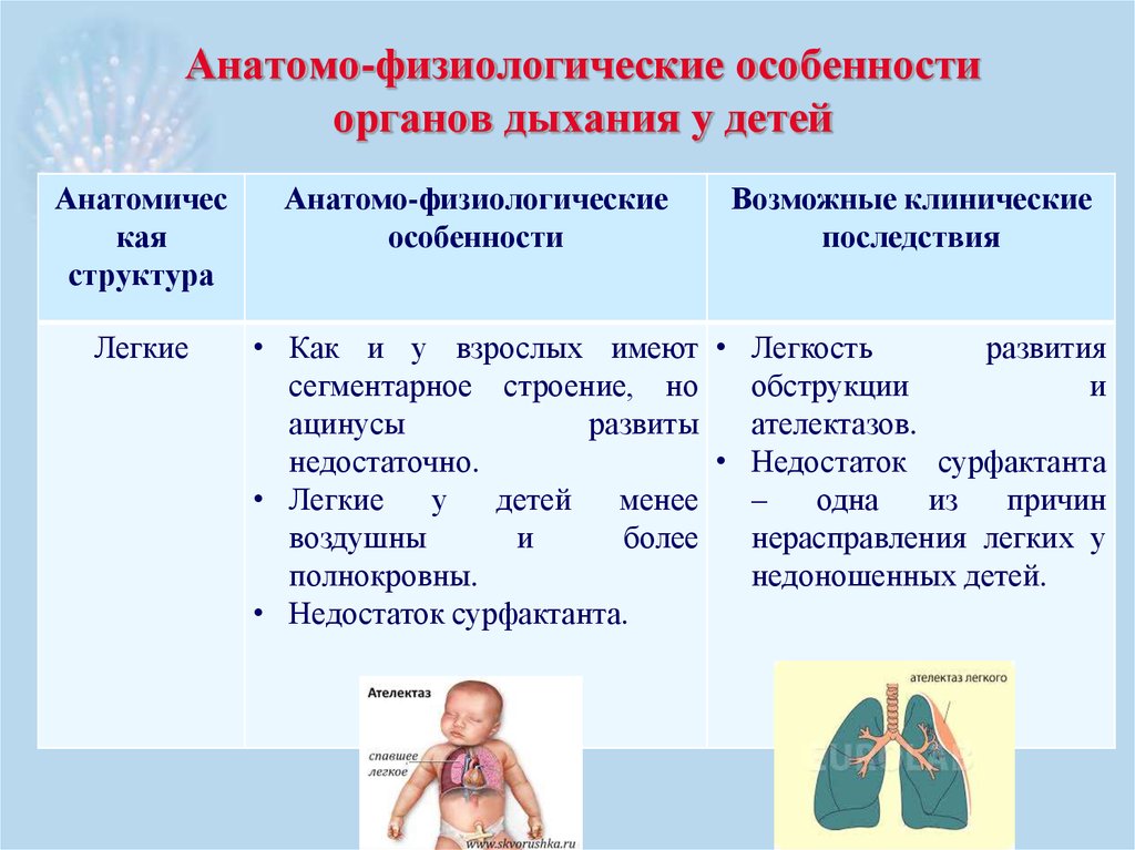 Анатомо физиологические дефекты речевого аппарата. Афо органов дыхания и ССС У детей. Афо дыхательной системы у детей педиатрия. К Афо особенности органов дыхания у детей относятся. Афо дыхательной системы у детей от 1 до 3 лет.