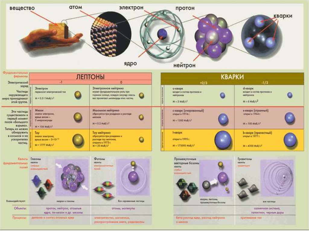 Сравнение размеров частиц. Квантовая физика элементарные частицы. Элементарные частицы ядерная физика. Атомы молекулы кварки. Строение элементарных частиц.