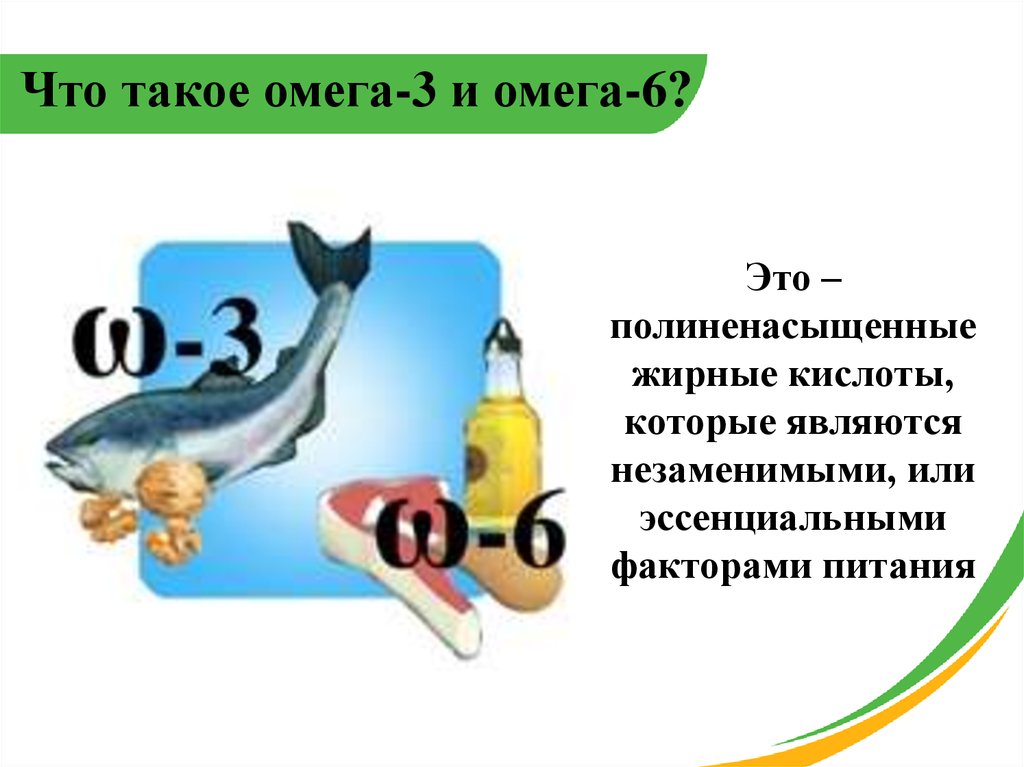 Что такое омега. Омега. Омега-6- жирными кислотами являются:. Полиненасыщенные жирные кислоты эссенциальные факторы питания. Омега 6 полиненасыщенные жирные кислоты.