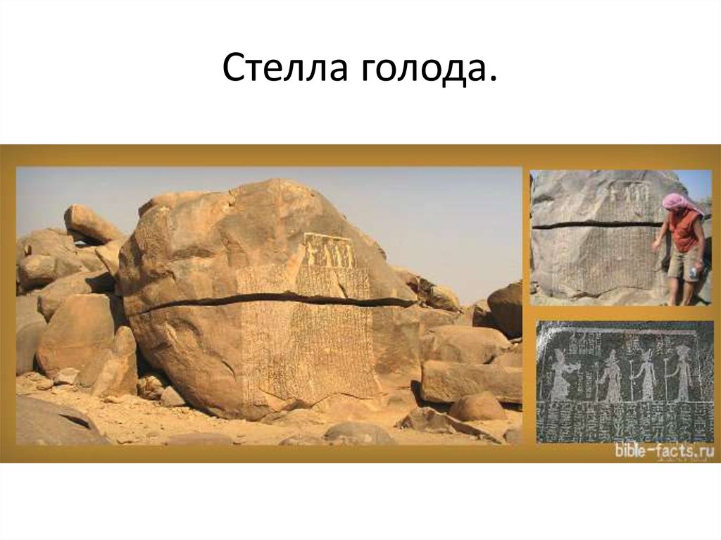 Стелла голода.