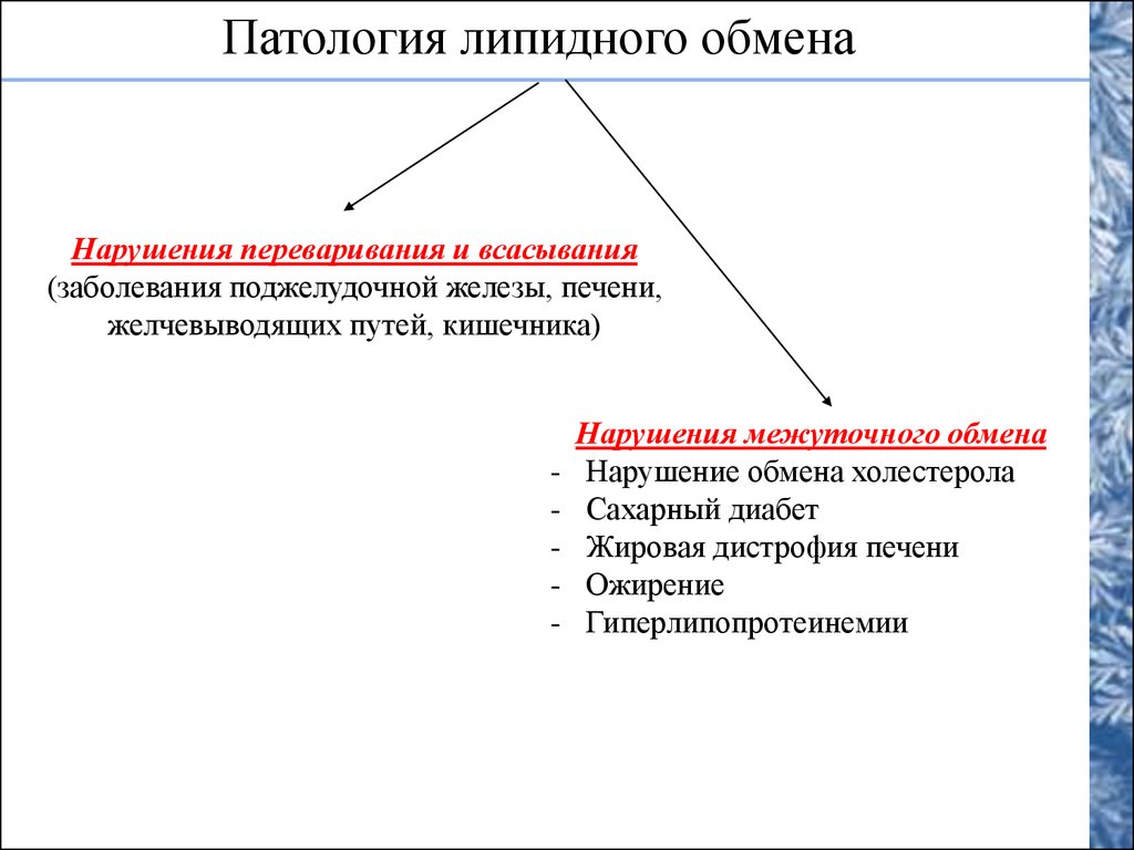 Нарушения липидного обмена заболевания. Патология липидного обмена. Регуляция и нарушения обмена липидов. Типы нарушения липидного обмена. Нарушение регуляции липидного обмена.