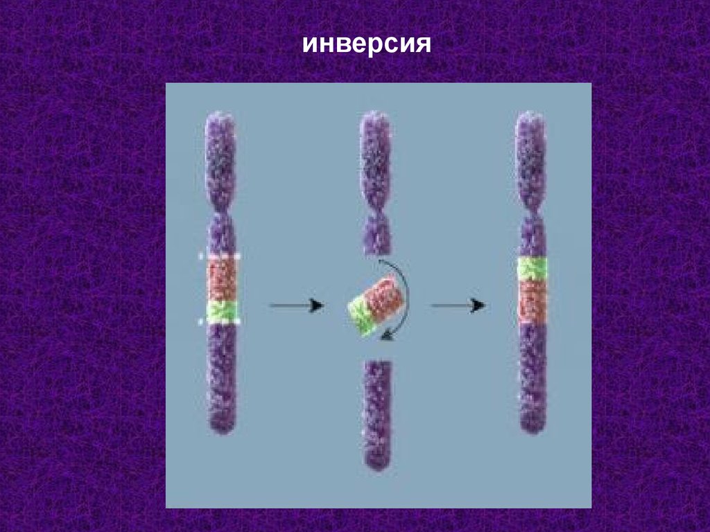 Изображение в инверсии