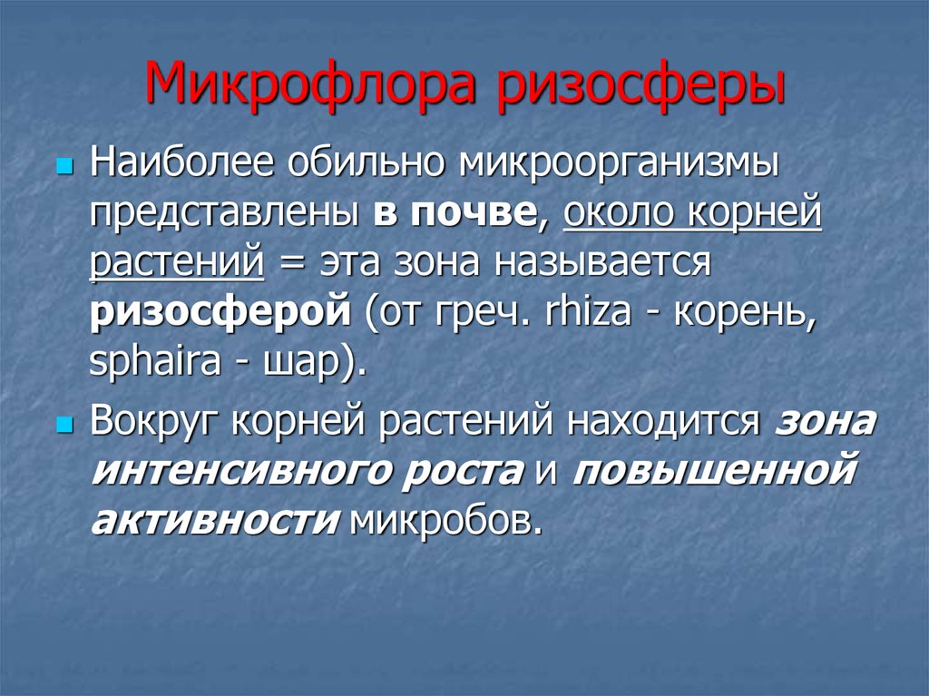 Описать 20. Микрофлора ризосферы. Микрофлора растений. Ризосфера микроорганизмы. Эпифитная и Ризосферная микрофлора.