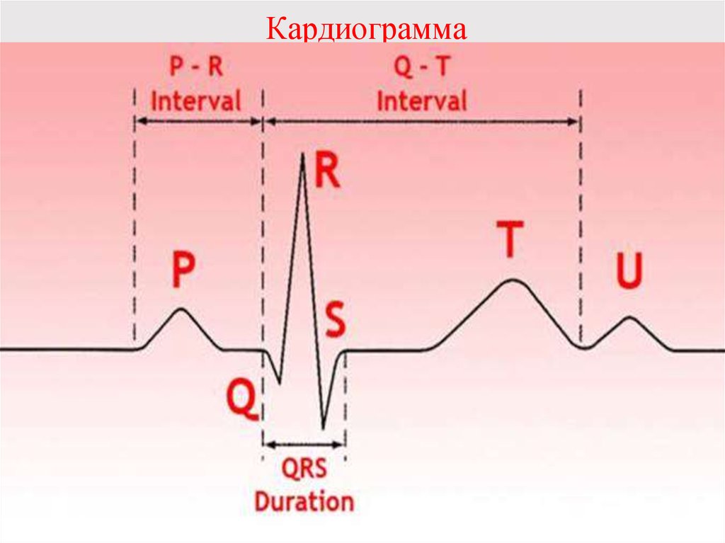 Qrs 0 09. Интервал PQ на ЭКГ. Зубец u на ЭКГ. Интервалы ЭКГ расшифровка. Зубец PQ на ЭКГ.