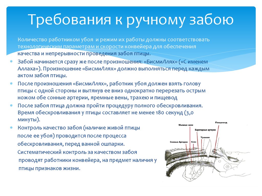 Требования к ручной. Требования предъявляемые к забоям. Забой в программировании.