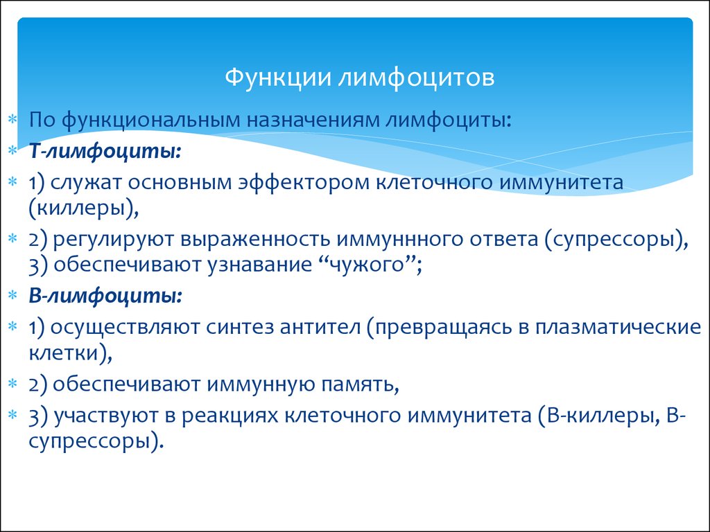 Какова функциональная. B лимфоциты функции. Функции т и в лимфоцитов кратко. Перечислите основные функции т-лимфоцитов. Лимфоциты функции кратко.