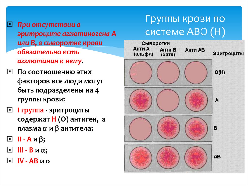 Группа крови s. Классификация групп крови человека. Группа крови. Группы крови таблица. Группа крови табы.