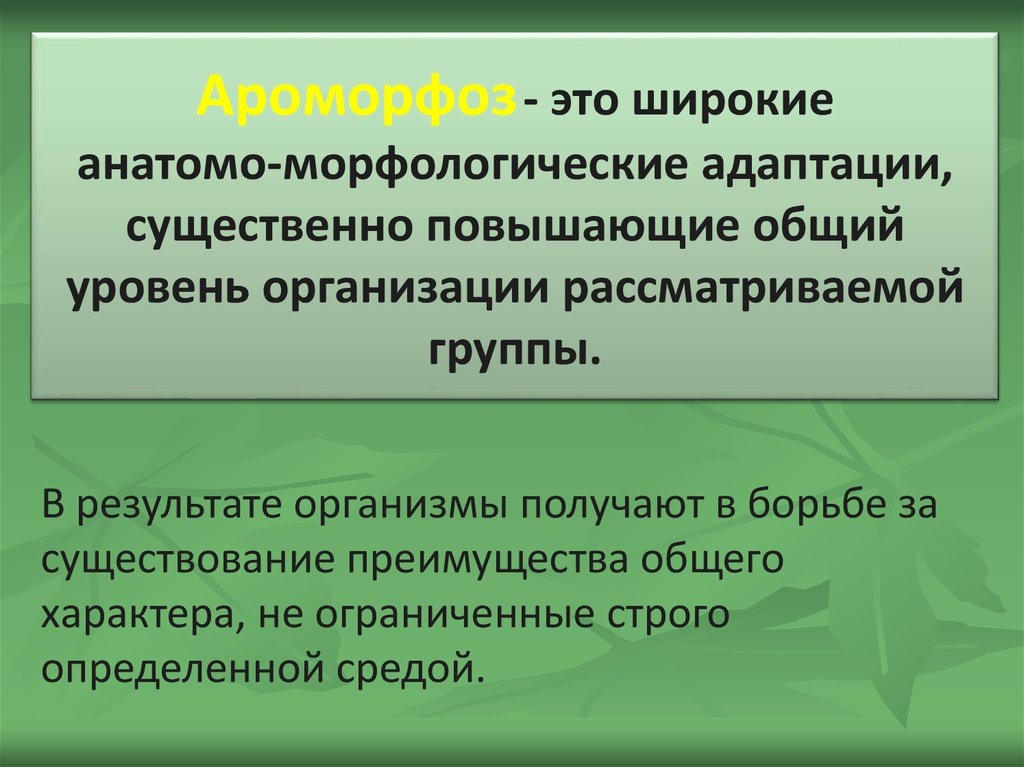 Увеличена общая. Анатомо морфологическая адаптация. Анатомо морфологические адаптации у животных. Анато-морфологическая адаптация. Морфологические адаптации растений.