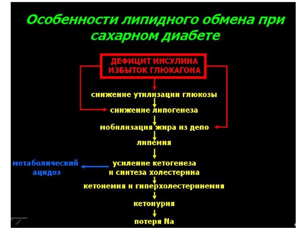 Нарушение липидного. Механизмы нарушений белкового обменов при сахарном диабете. Нарушение белкового обмена при сахарном диабете. Нарушение жирового обмена при сахарном диабете. Нарушение липидного обмена при сахарном диабете.