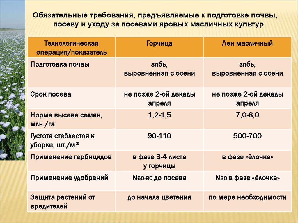 Технологическая карта льна масличного