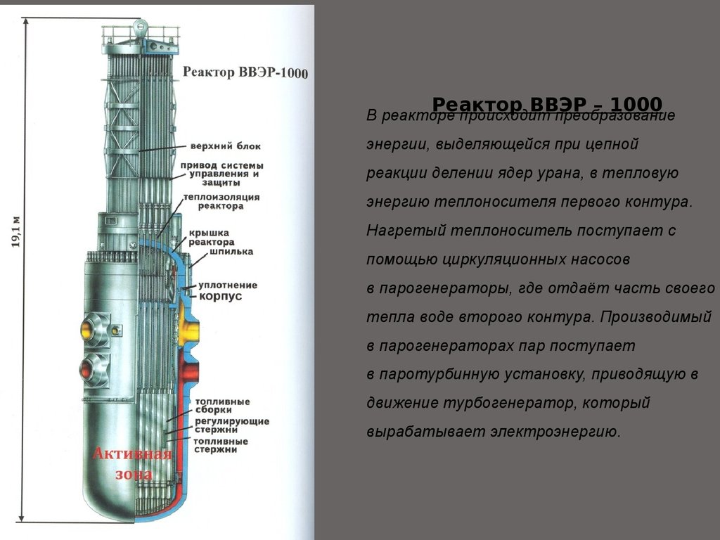 Схема первого контура ввэр 1000