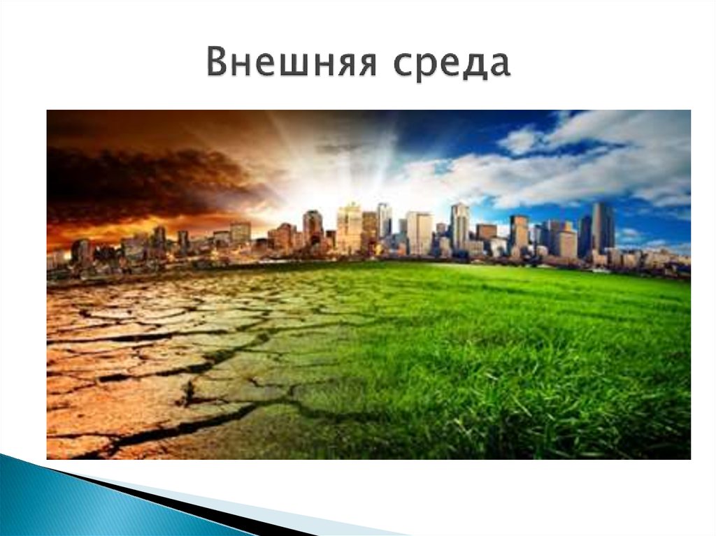 Интересные факторы. Неблагоприятная внешняя среда. Внешняя окружающая среда. Внешняя среда природа. Внешняя среда человека.