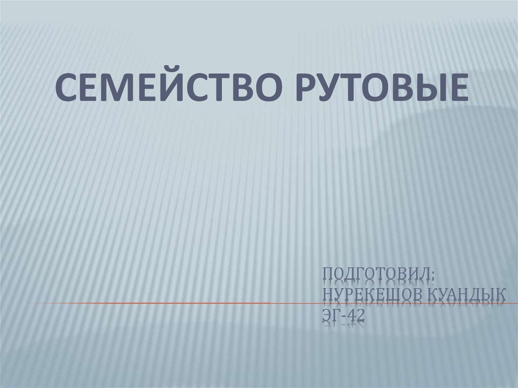 Что означает имя куандык. Семейство Рутовые презентация. Семейство Рутовые.