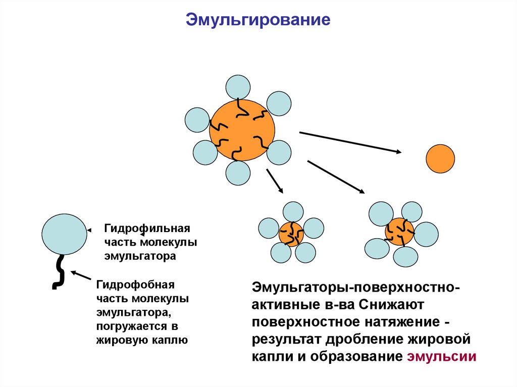 Ферменты эмульгирующий жиры