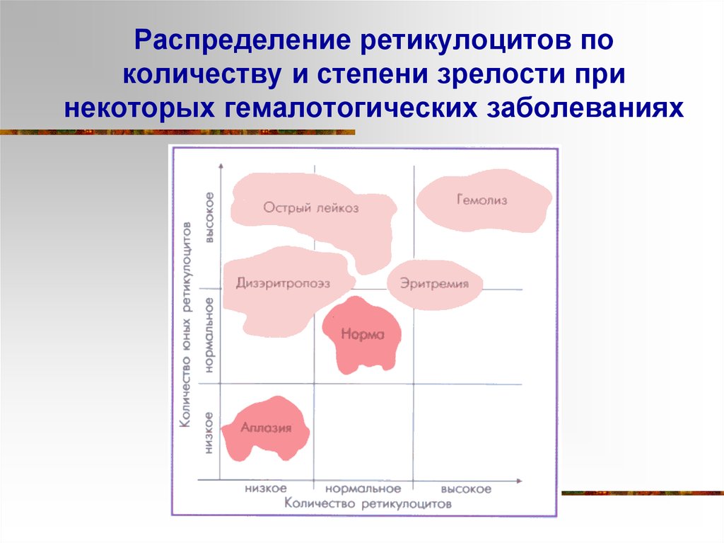 2 3 степень зрелости. Степени зрелости ретикулоцитов. Распределение ретикулоцитов по степени зрелости. Индекс ретикулоцитов. Степени созревания ретикулоцитов.