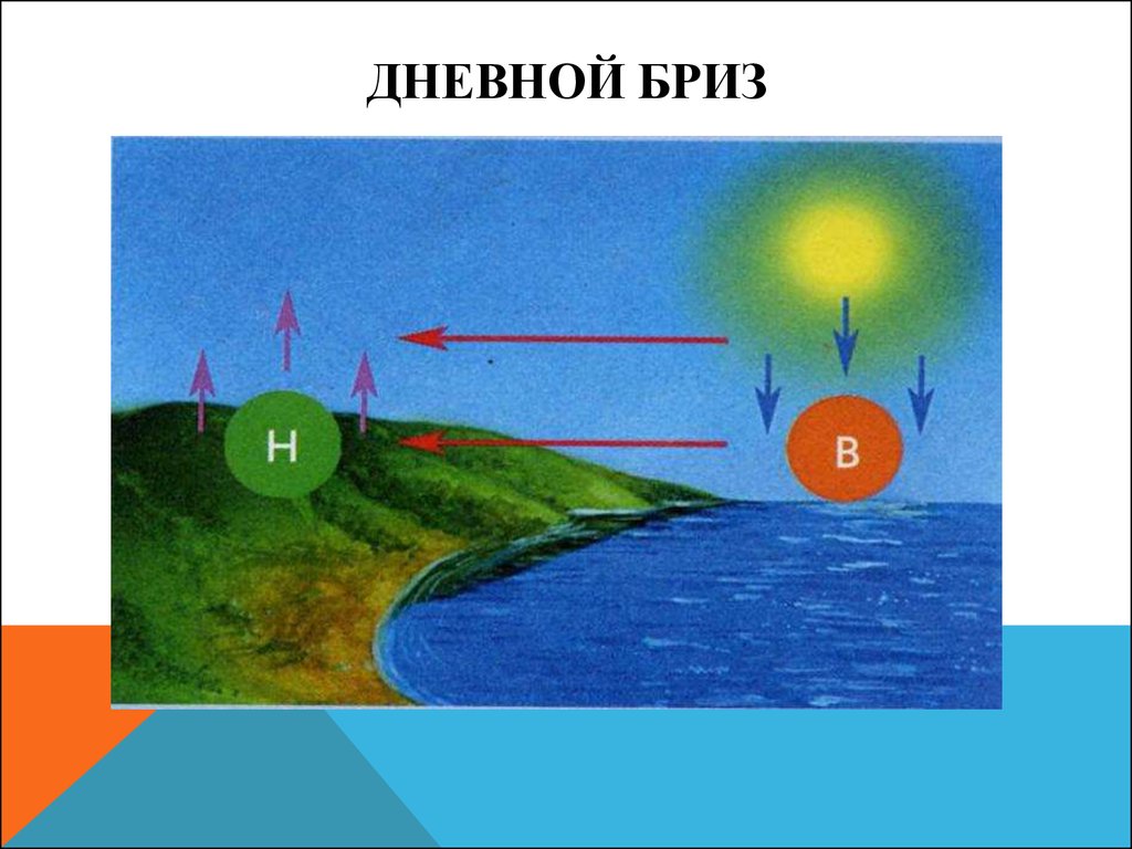 В каком направлении дуют. Дневной Бриз. Дневной и ночной Бриз. Схема возникновения ветра. Схема возникновения бризов.